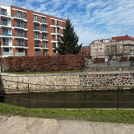 Danio Business Pro Old Town