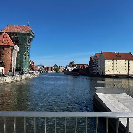 Danio Business Pro Old Town *