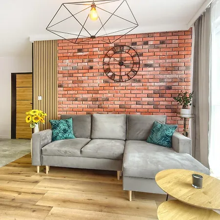 Danio Business Pro Old Town