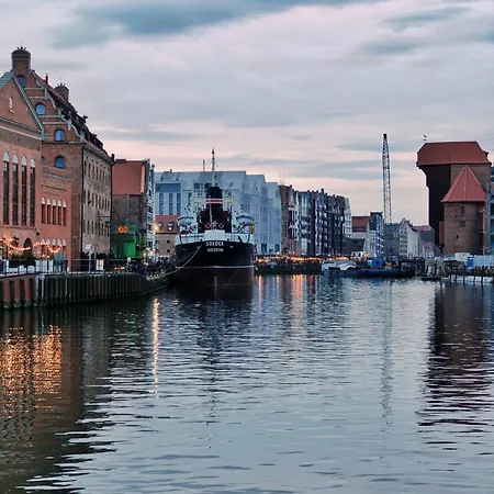 Danio Business Pro Old Town