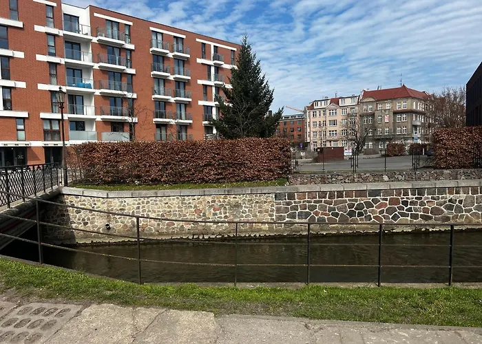 Danio Business Pro Old Town