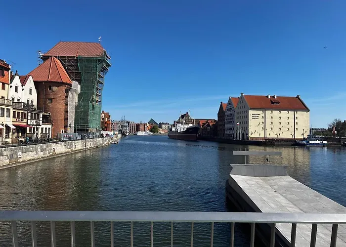 Danio Business Pro Old Town *