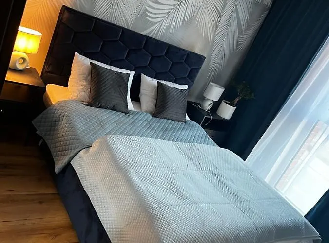 Danio Business Pro Old Town Danzica