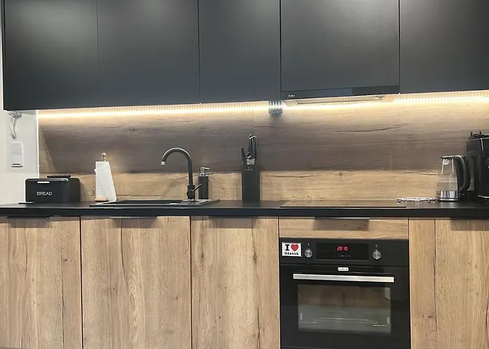 Danio Business Pro Old Town Danzica