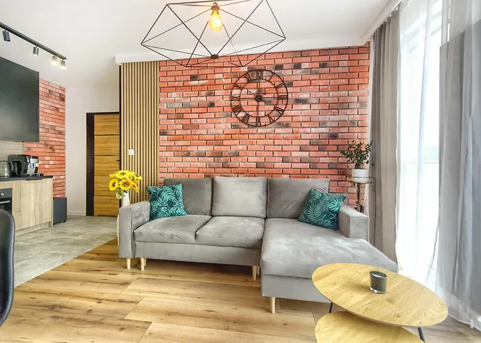 Danio Business Pro Old Town