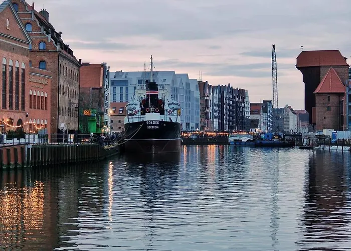 Danio Business Pro Old Town